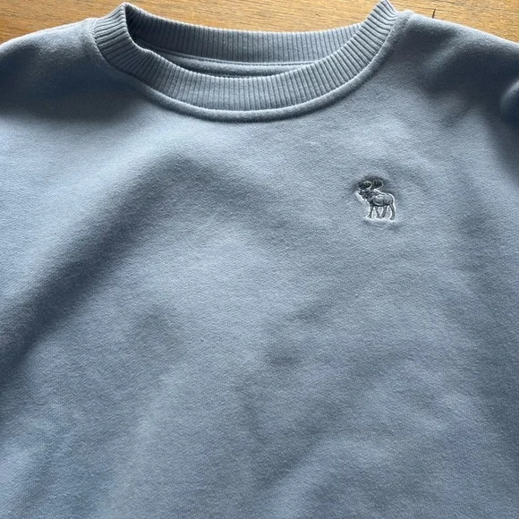 Youth Abercrombie crew neck sweatshirt, worn once or twice EUC. Size 13/14 - Picture 3 of 4